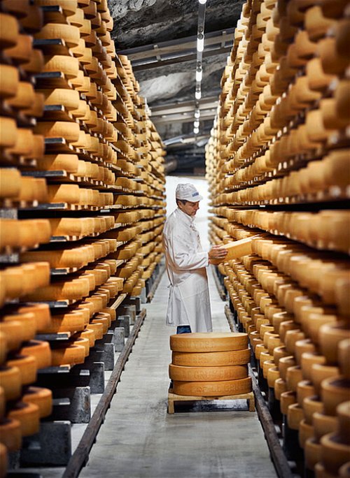2009 wurde – erstmals in der Schweizer Käsegeschichte – mehr Gruyère als Emmentalerkäse produziert. Als wichtigstes Exportland für Gruyère gelten die USA, gefolgt von Deutschland.