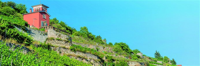Terrassenweinberge und Weinbergshäuschen – so sieht vielerorts der Weinbau bei Freyburg im Tal der Unstrut aus.