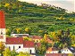 Kein anderes Weinbaugebiet ist so stark von einer einzigen Rebsorte geprägt wie das Traisental mit seinem Veltliner-Anteil von über 60 Prozent.