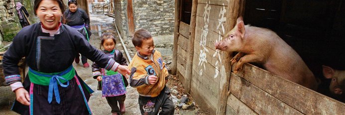 In China sind Schweine nahezu allgegenwärtig – kulinarisch wie auch im Straßenbild.