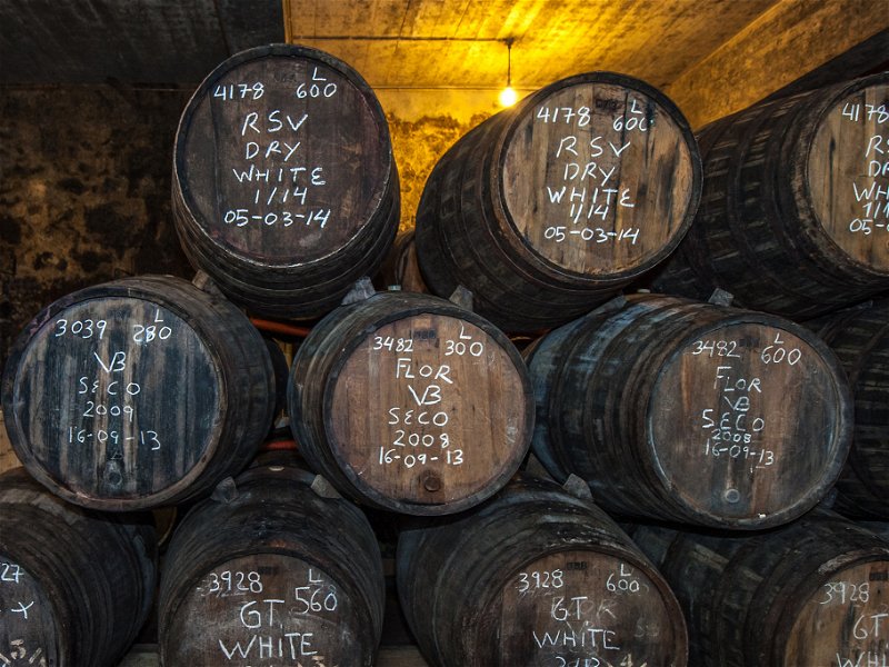 Sherry barrels in Jerez, Spain