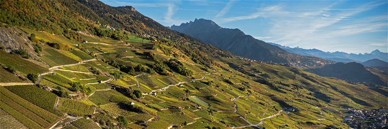 Die Bordeaux-Sorten des Siegerweins unserer Trophy gedeihen in der alpinen Umbegung des Wallis. 