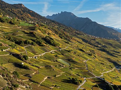 Die Bordeaux-Sorten des Siegerweins unserer Trophy gedeihen in der alpinen Umbegung des Wallis. 