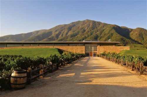 Das Weingut Viña Montes in Chile. 
