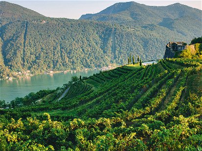 Das breite Sortiment von Gialdi Vini umfasst Weine aus fast allen Tessiner Anbaugebieten.