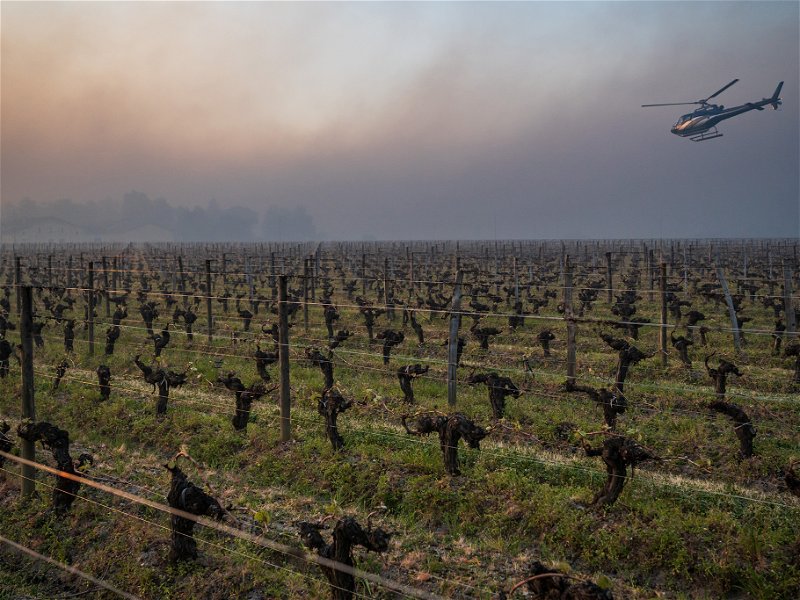 FRANCE, GIRONDE, SAINT-EMILION, HELICOPTER USED TO CIRCULATE WARMER AIR AND AVOID DAMAGE CAUSED BY FREEZING IN THE VINEYARD DURING SPRING TEMPERATURES BELOW ZERO ON APRIL 7, 2021