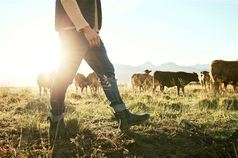 Pasture-raised animals have a positive impact.