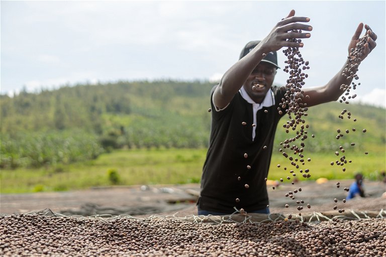 Coffee farmers in Africa are dependent on good prices. 