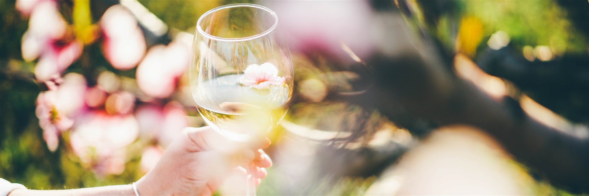 Wines that resemble the very essence of spring