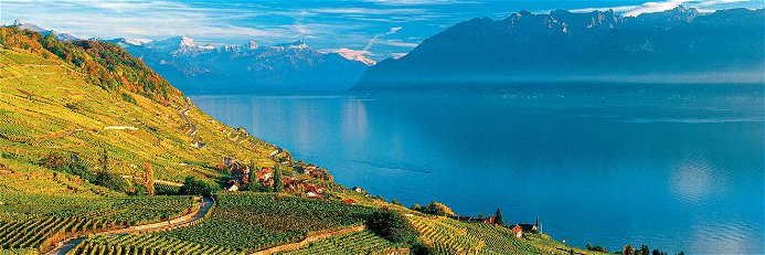 Die Rebberge des Lavaux am Genfersee gehören zu den schönsten Reblandschaften Mitteleuropas. Seit 2007 sind sie anerkannt als UNESCO-Welterbe.