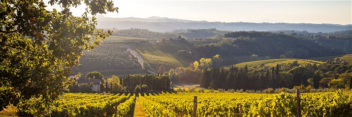 Unvergleichlich – die Weinlagen von Tignanello