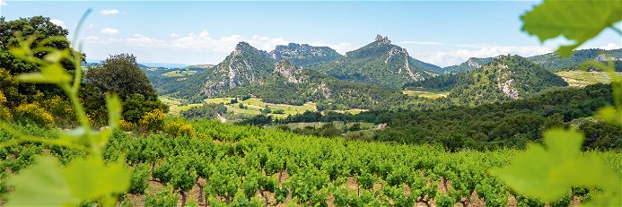 Weinbau in Vaucluse hat eine lange Tradition