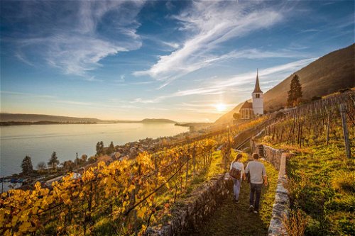 Das Drei-Seen-Land bietet einige der schönsten Weinwanderungen der gesamten Schweiz. 