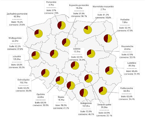 Current acreage and white-red grapes proportion in Poland.