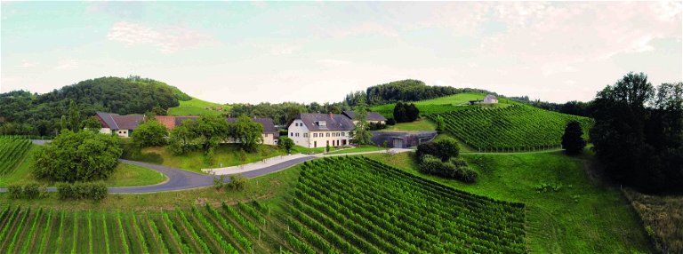 Die Familie Tinnacher bewirtschaftet seit Generationen Weinberge in der Südsteiermark und ist ein Hotspot für stoffig-würzigen Welschriesling aus Österreich.