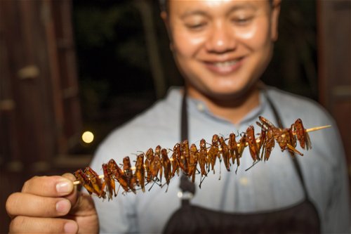 Insekten stehen in Laos vor allem in ländlichen Gegenden nach wie vor auf dem Speiseplan. Auch Spinnen werden in der Regenzeit auf den Reisfeldern gefangen und im Ganzen gekocht und gegessen.