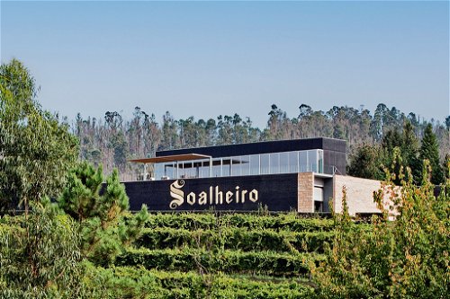 Die legendäre Quinta de Soalheiro befindet sich im äußersten Norden des Vinho-Verde-Gebiets.