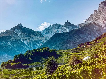 Nirgendwo sonst in der Schweiz geht es beim Weinbau so hoch hinaus wie im Wallis. 