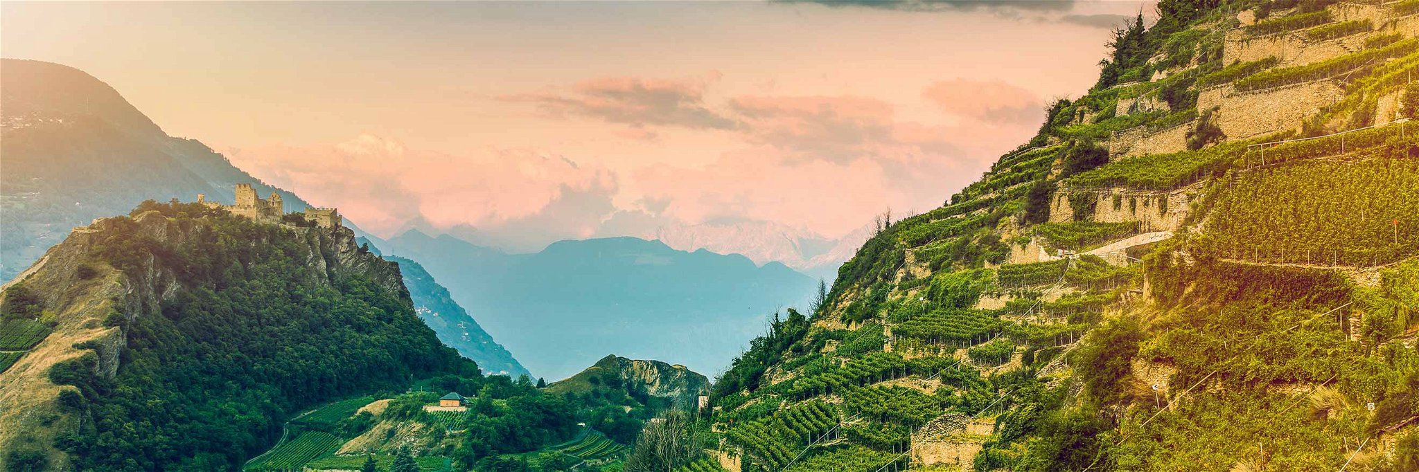 Spektakuläre Rebterrassen und der Blick auf die Alpen sind im Wallis allgegenwärtig. 