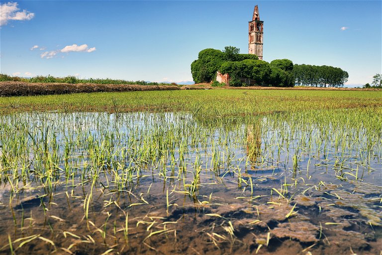 Malerisch: Eine verlassene Kirche inmitten von Reisfeldern in der Provinz Novara in Casaleggio im Piemont.