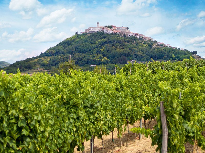 Weingut Benvenuti im Dorf Kaldir. Befestigte Hügel, umgeben von besten Weinland – so präsentiert sich das Landesinnere Istriens.