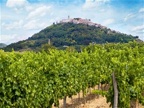 Weingut Benvenuti im Dorf Kaldir. Befestigte Hügel, umgeben von besten Weinland – so präsentiert sich das Landesinnere Istriens.