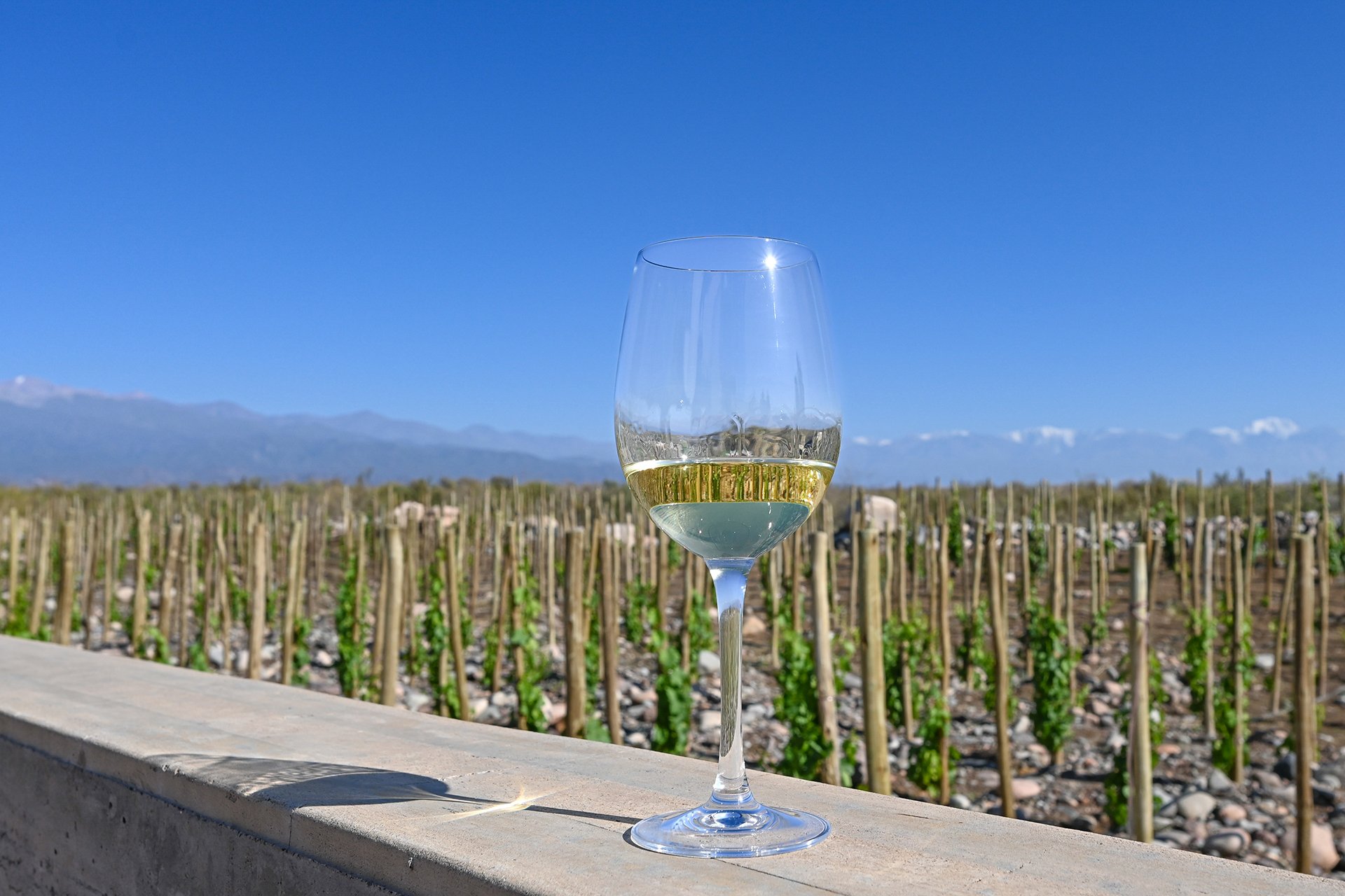 Mendoza is the largest wine-producing area in Argentina.
