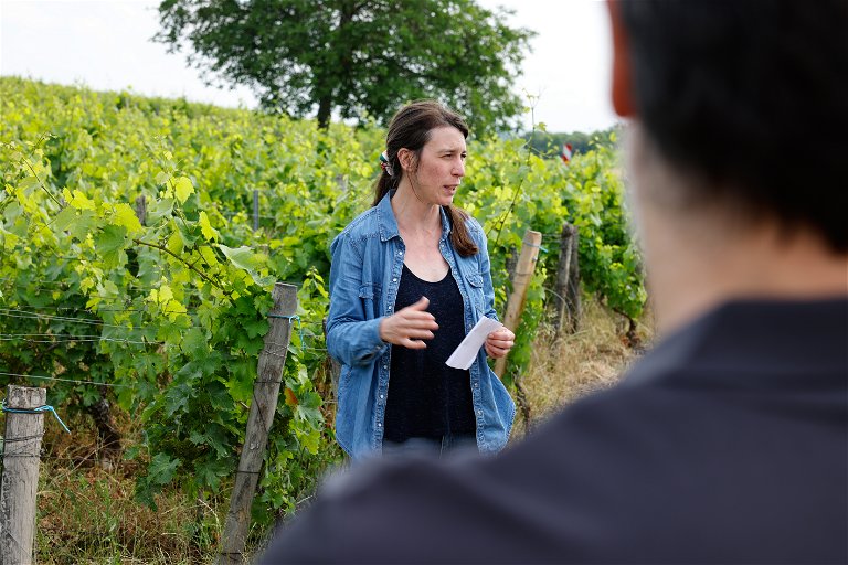 Céline Hirsh führt Vinophile durch die Weinberge des Hauses