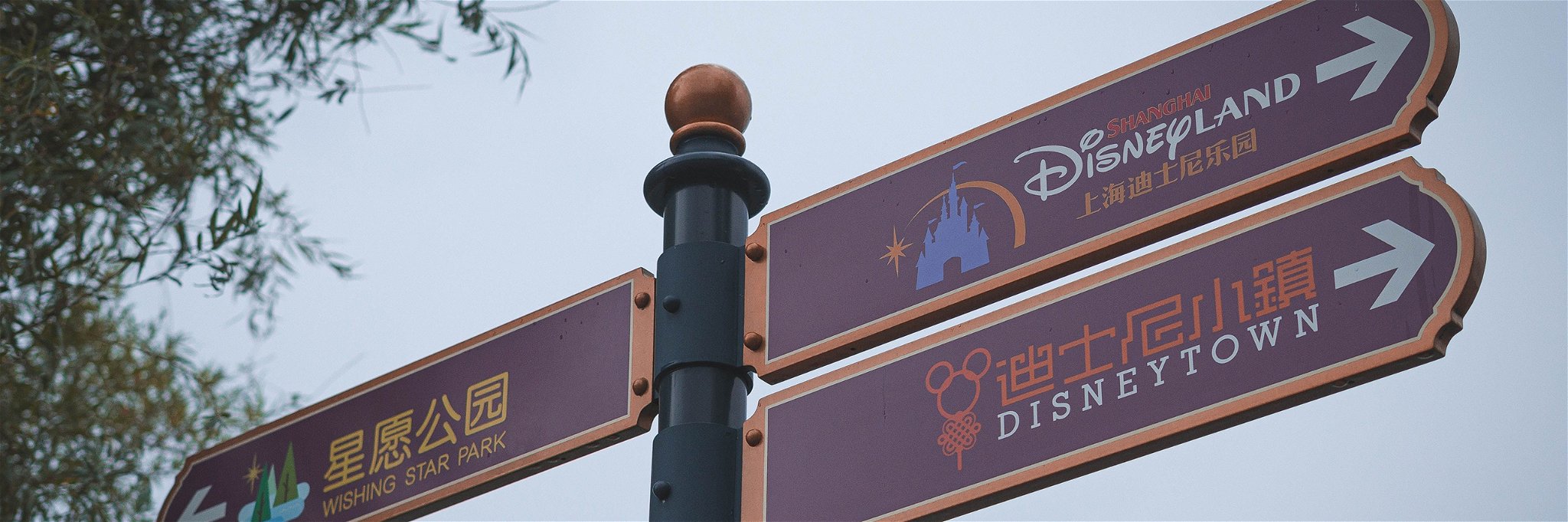 Disneyland signs in Shanghai