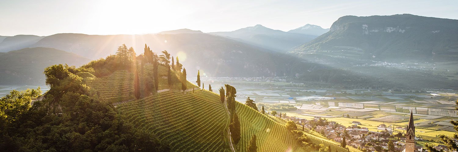 Südtirol ist eines der kleinsten Anbaugebiete Italiens, dank seiner geografischen Lage aber auch eines der facettenreichsten.