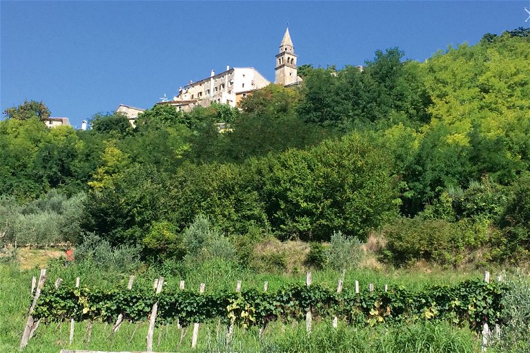 Die Domaine Koquelicot produziert stilvolle Weine, die sehr erfolgreich dem Stil der burgundischen Weißweine in Kombination mit dem istrischen Terroir folgen.
