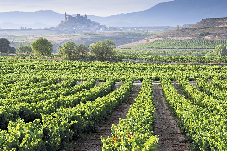 Rioja Gebiet in Spanien