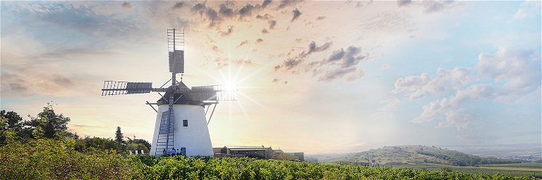 Der Windmühlenheuriger Weingut Bergmann in Retz wurde für das schönste Ambiente ausgezeichnet.