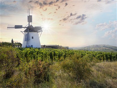 Der Windmühlenheuriger Weingut Bergmann in Retz wurde für das schönste Ambiente ausgezeichnet.