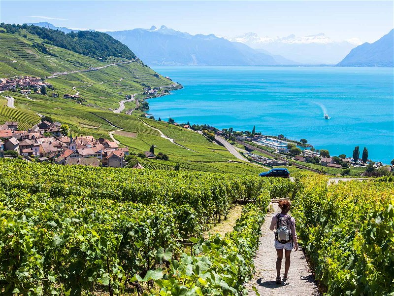 Das Lavaux zählt zu den schönsten Weinbaugebieten der Welt. 