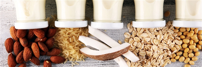 Pflanzenmilch macht rund sechs Prozent am gesamten deutschen Milchmarkt aus.