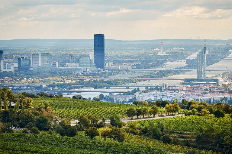 Der Blick von den Weinberger auf Nussdorf und Heiligenstadt. Hier könnte ein Teil der Zukunft des österreichischen Weins wachsen.