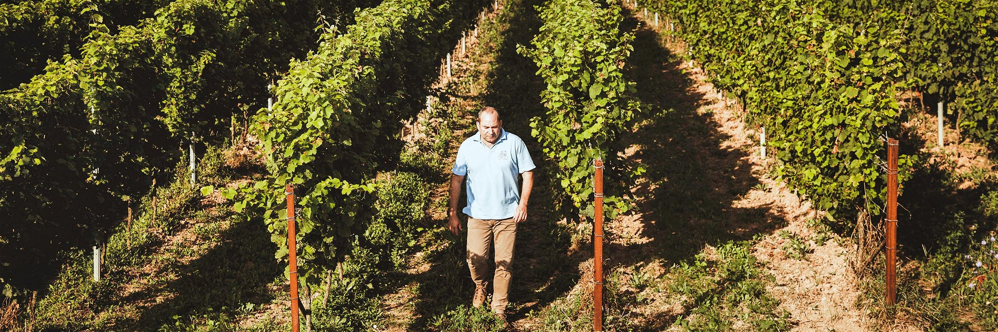 Oliver Zeter steht für Sauvignon Blanc von Weltformat