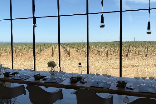 Finca Montepedroso's tasting room overlooking the vineyard.