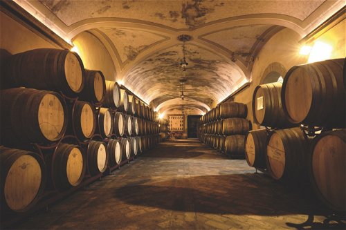 Die Sektgrundweine von La Montina lagern in edlen Kellergewölben. 