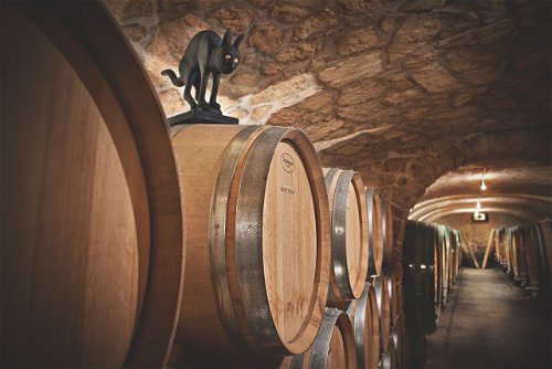 Das beste Fass im Keller des Weinguts Kollwentz markiert traditionell eine schwarze Katze.