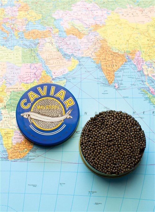 In Walter Grülls Fischreich in Grödig ist nicht nur der weiße und schwarze Stör-Kaviar aus eigener Zucht und Herstellung ein Genuss für alle, die das Besondere lieben.