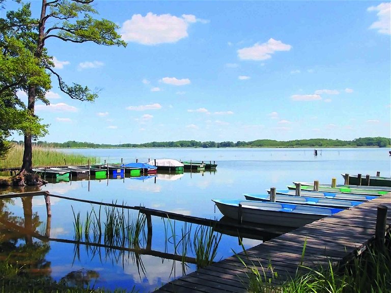 Bei Anglern ausgesprochen beliebt: das Nordwestufer des Großen Schauener Sees. Die Seenkette umfasst insgesamt sechs Flachgewässer rund um Storkow.