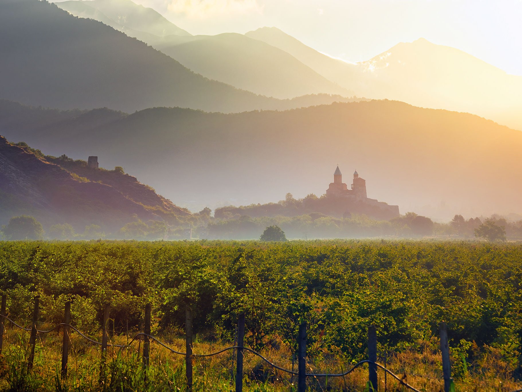 Die Morgenstunde taucht die Weinregion Kachetien und 
die historische Burg von 
Gremi in magisches Licht.