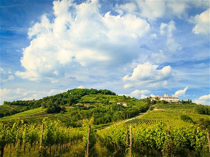 Rund um die Abtei von Rosazzo, südöstlich von Udine in den Colli Orientali, wurde bereits im Mittelalter Wein angebaut. 