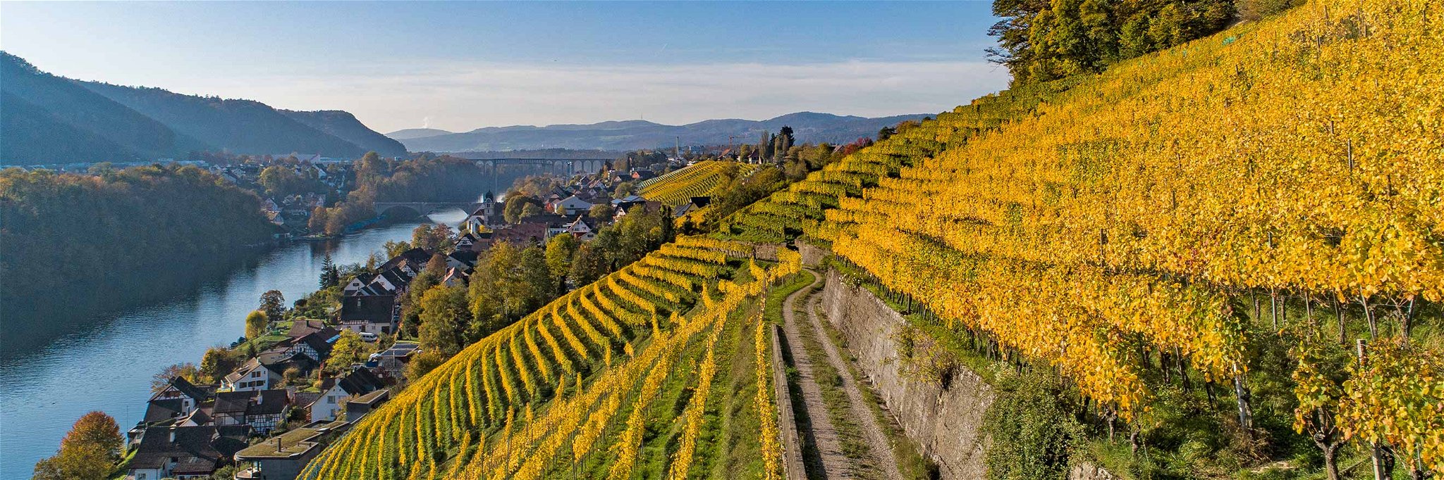 Der malerische Stadtberg über dem Rhein in Eglisau gehört zu den spektakulärsten Reblagen der Schweiz.