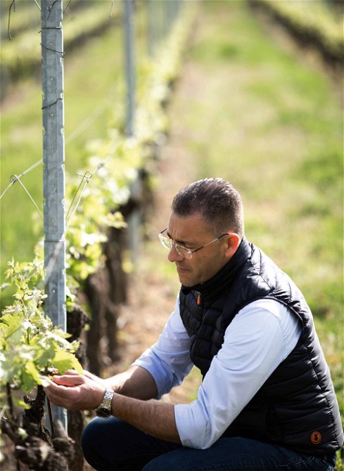 Weingutsleiter Giovanni Capuano arbeitet seit fast 25 Jahren für Bindellas Tenuta Vallocaia.
