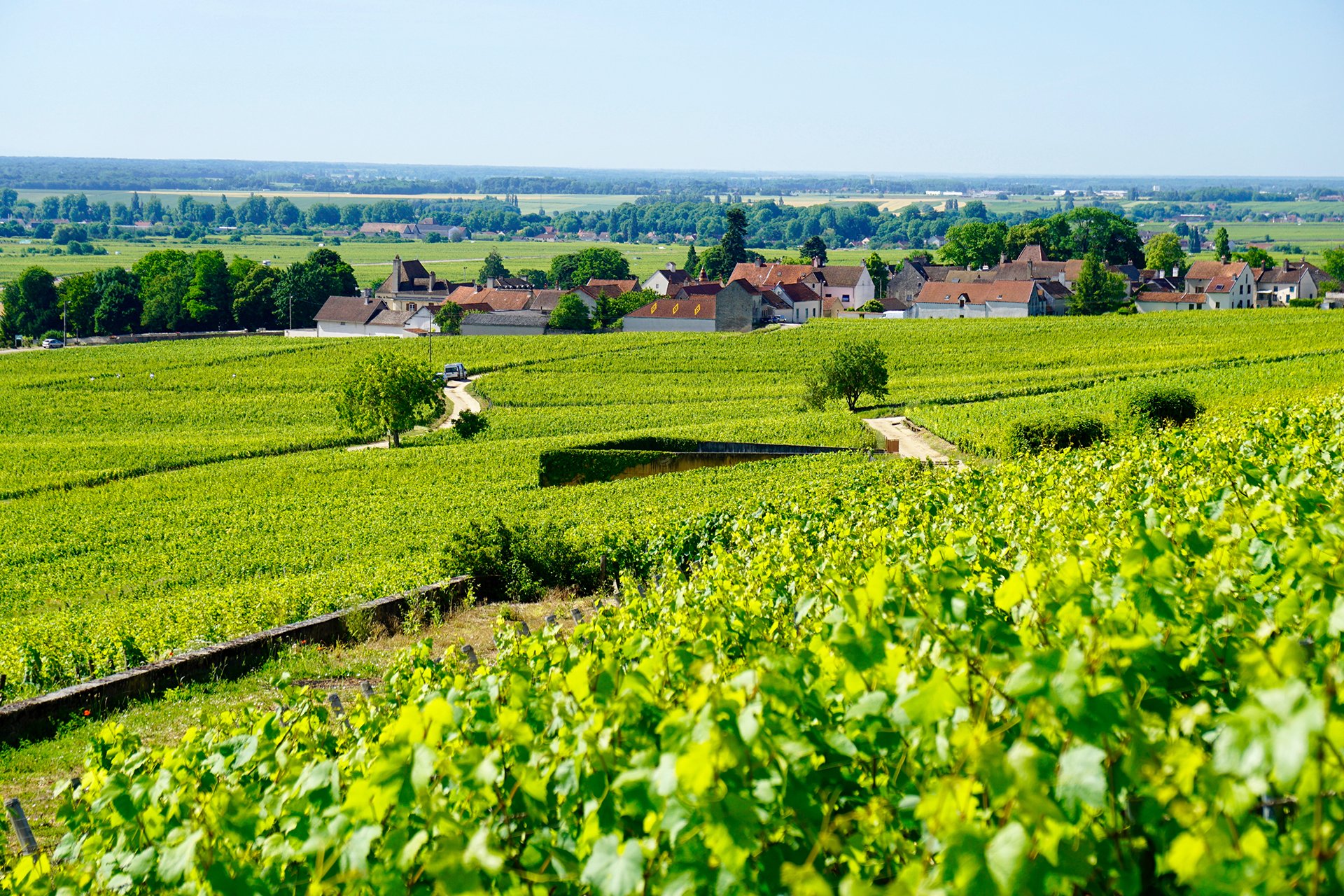 Village of Aloxe-Corton in Burgundy (Bourgogne), France.