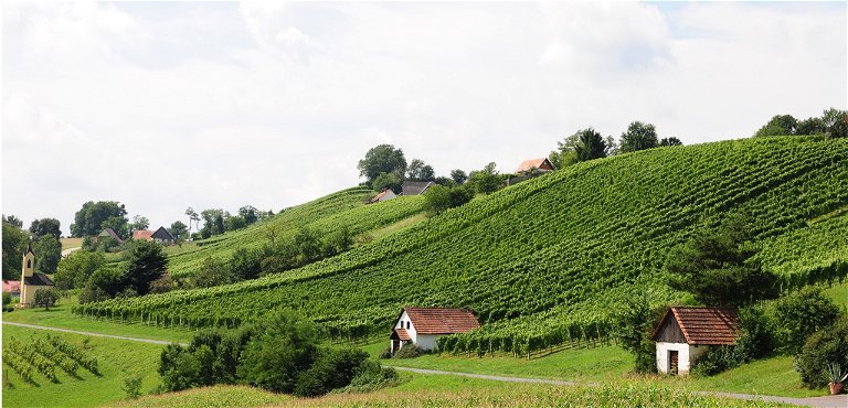 Das Weingut Christoph Neumeister bewirtschaftet Hanglagen in und um Straden 