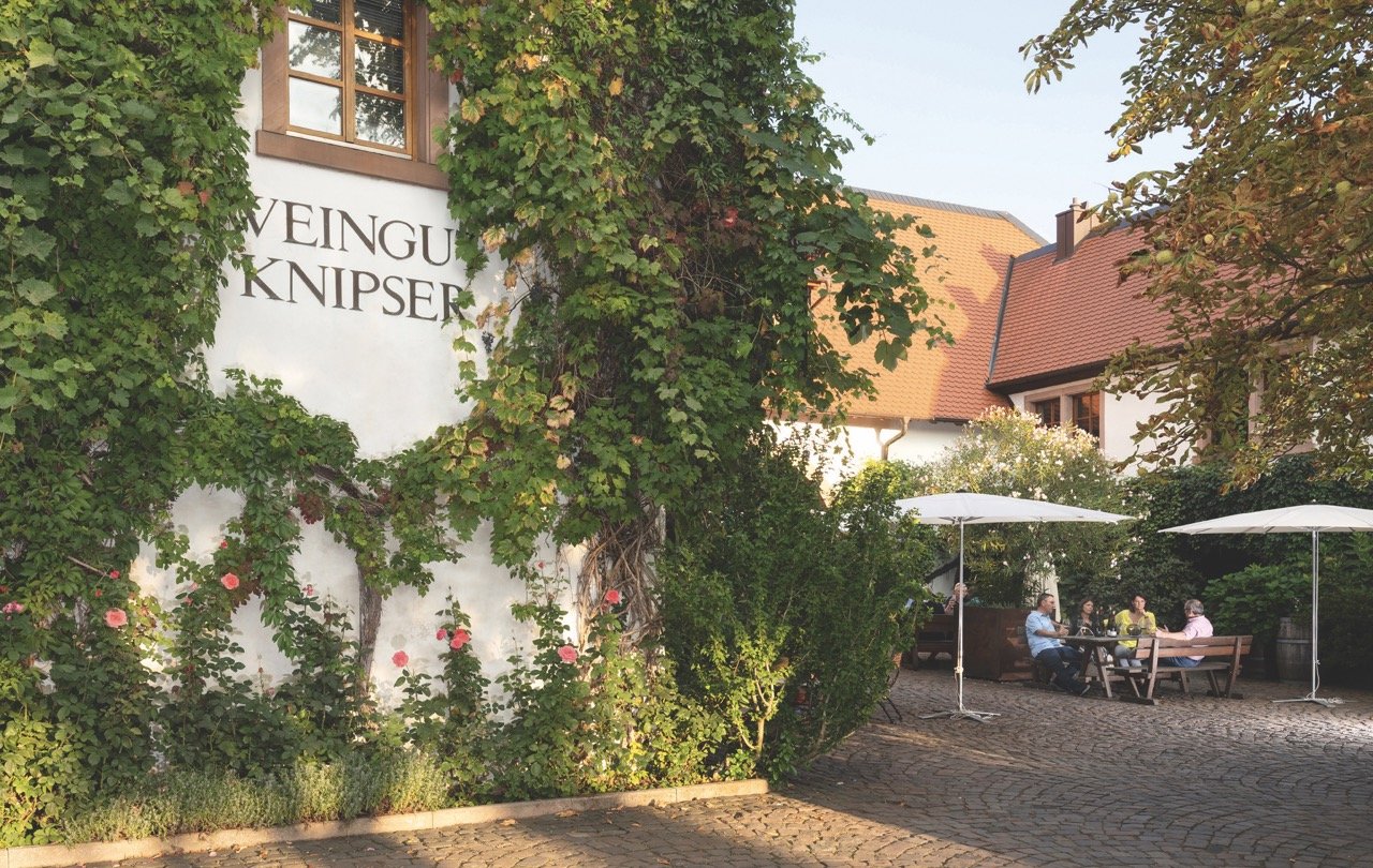 Das Weingut Knipser in Laumersheim ist einer der Pfälzer Pinot-Noir-Hotspots.